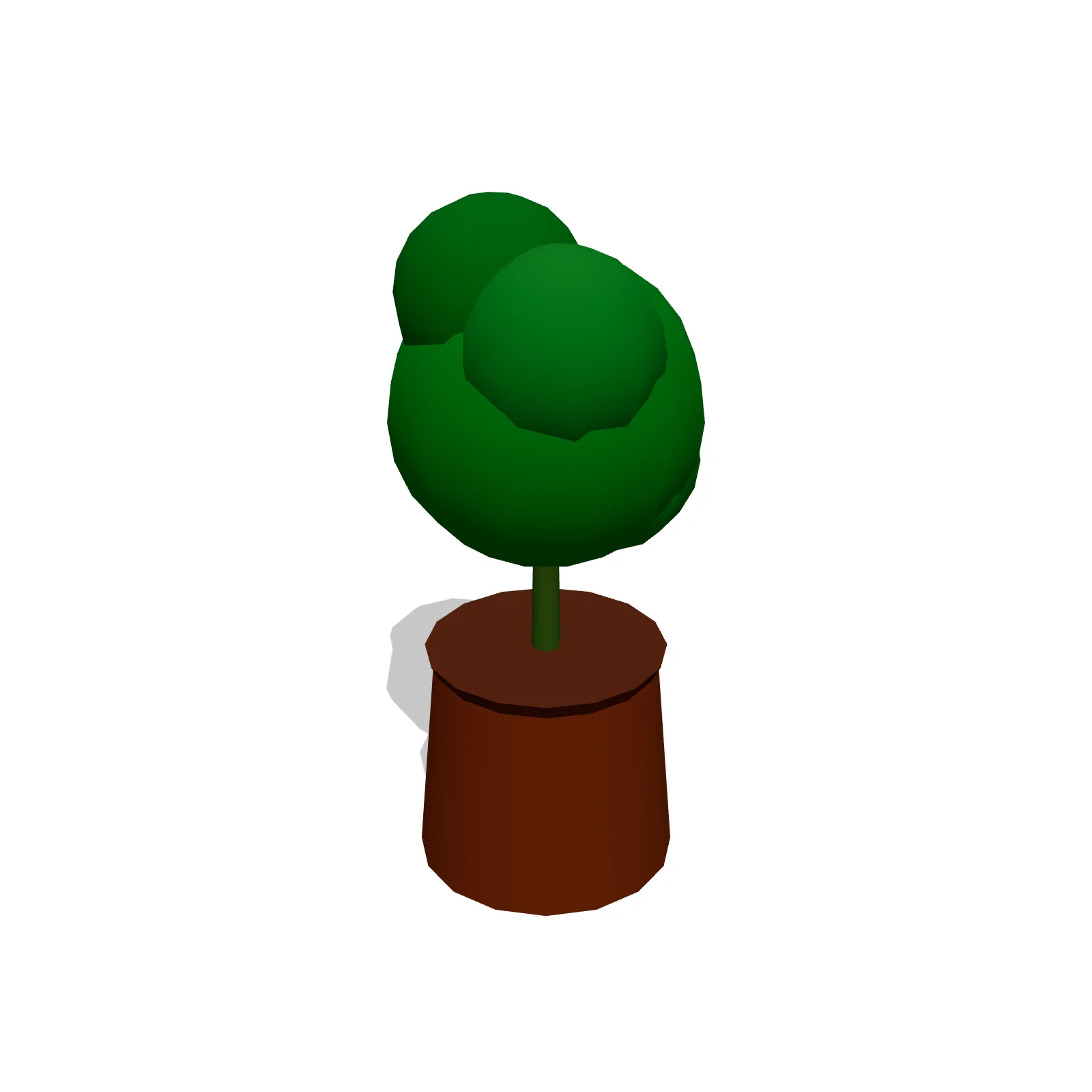 Large Office Plant
