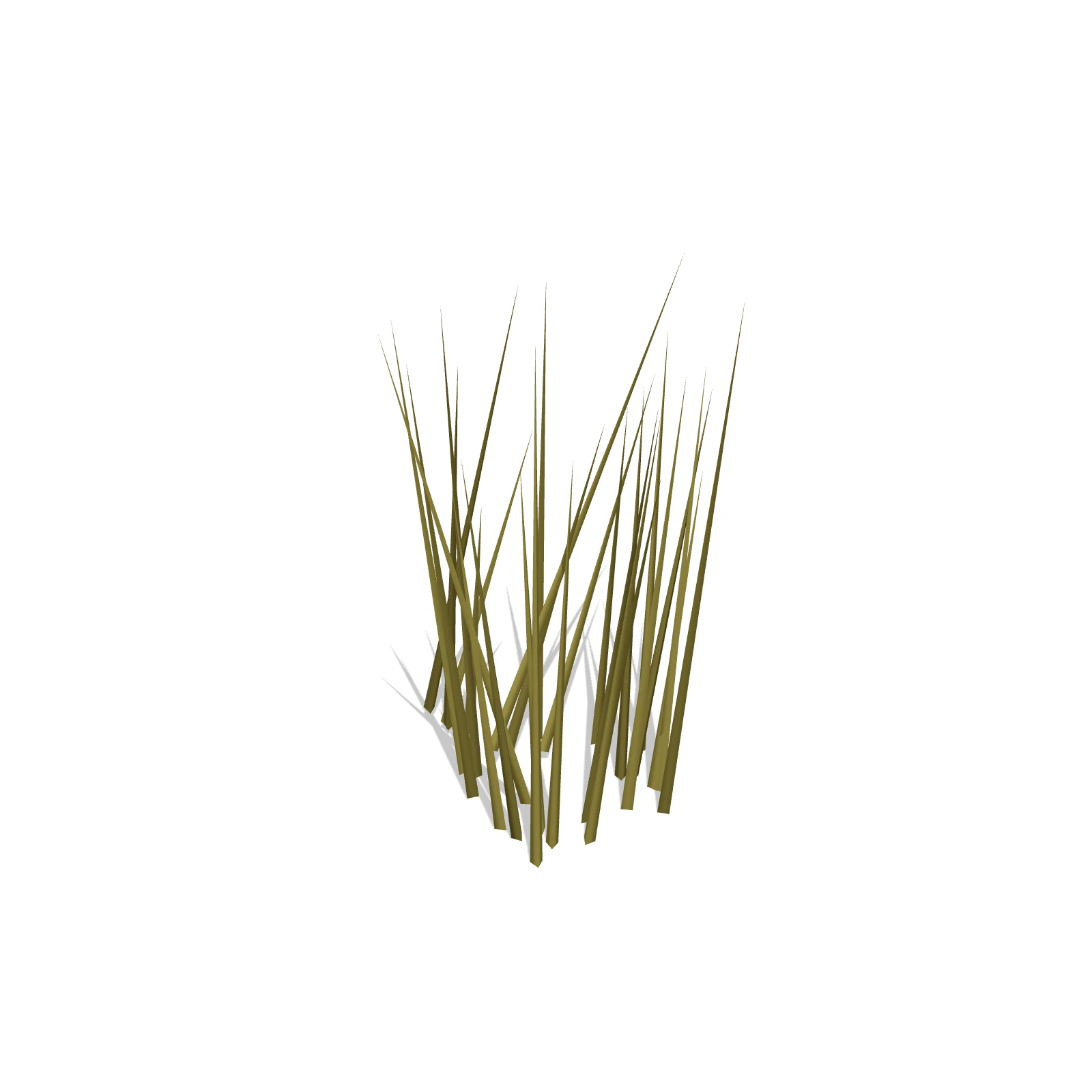 Ornamental Grass — 3D preview