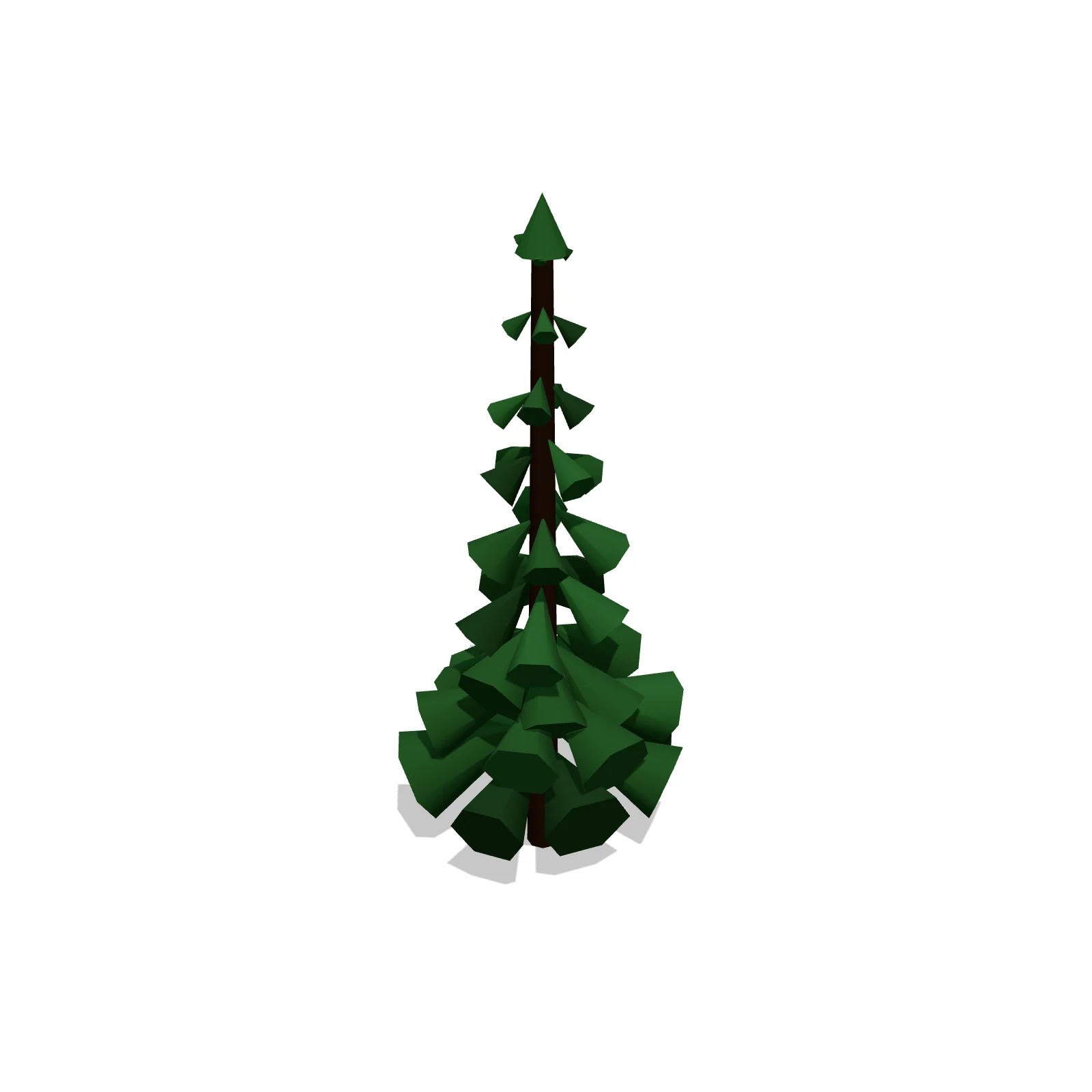 Small Evergreen — 3D preview