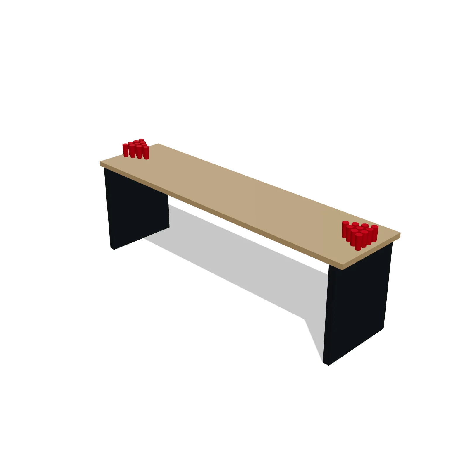 Beer Pong Table